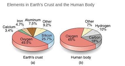 Oxygen makes up the majority percentage of both the human body and the Earth's crust-example-1