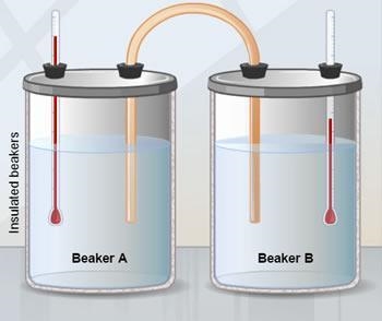 The two insulated beakers shown contain equal amounts of identical liquids. The temperature-example-1