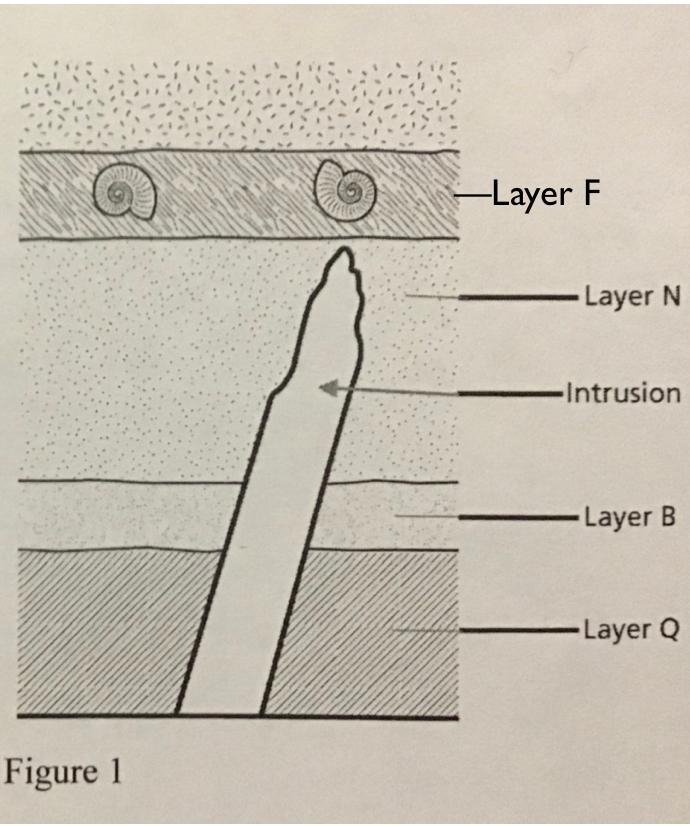 Layer F can help scientists to correlate the relative age of another layer. What makes-example-1