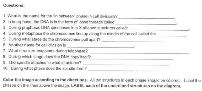 I need these labeled and the questions answered-example-1