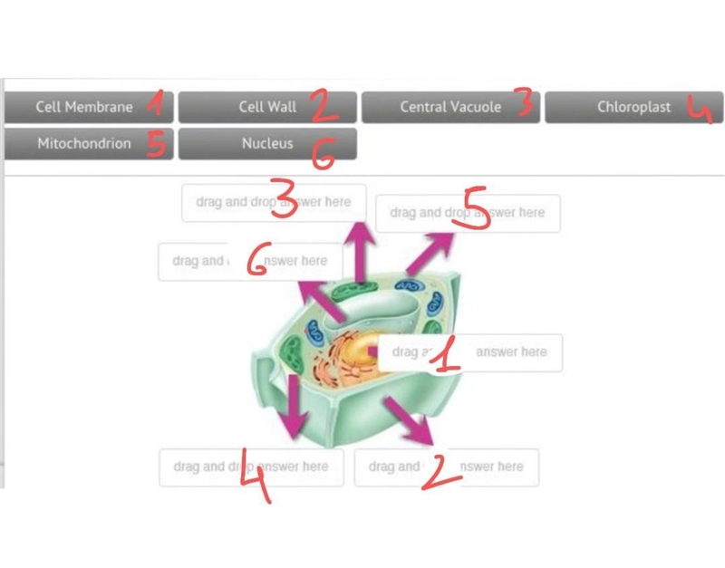 Help please! I dont understand, and im having a hard time in Science.-example-1