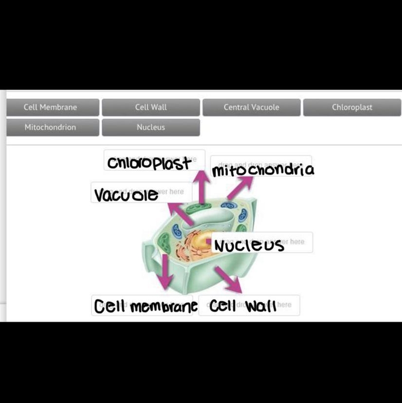 Help please! I dont understand, and im having a hard time in Science.-example-1