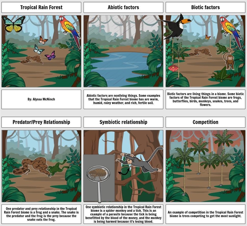 Describe how organisms in the tropical rainforest both depend on and compete for biotic-example-1