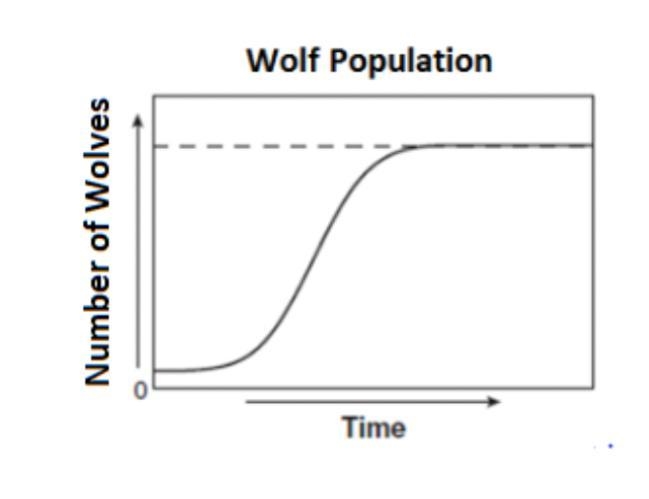 The graph below shows the changes in the wolf population in an ecosystem over time-example-1