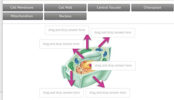 Help please! I dont understand, and im having a hard time in Science.-example-1