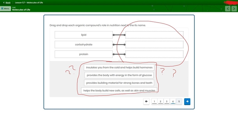 Drag and drop each organic compound's role in nutrition next to the its name.-example-1