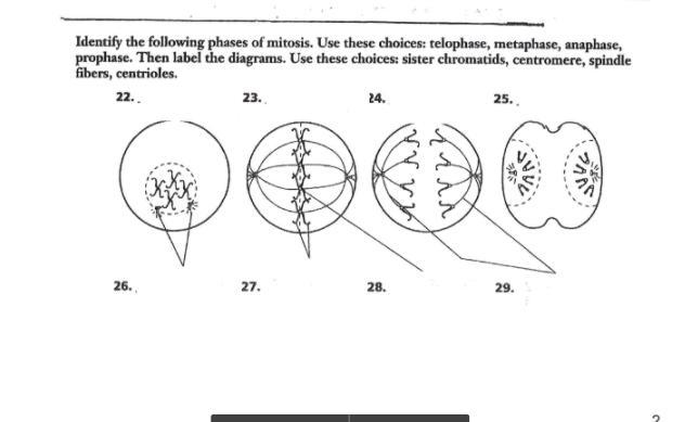 I need help with this-example-1