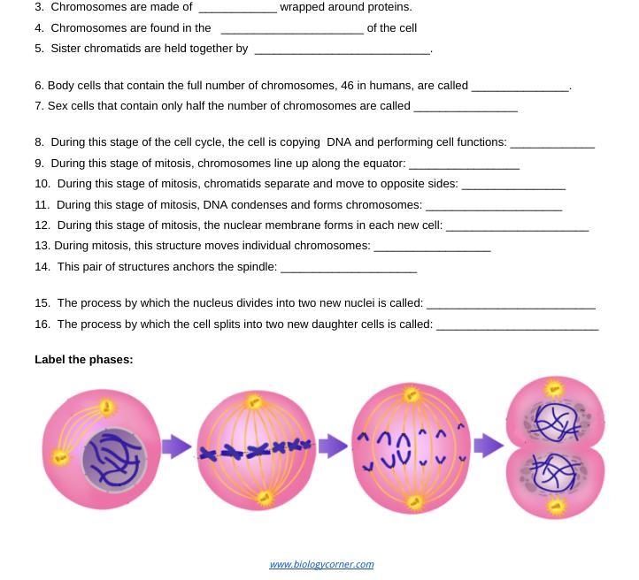 I need help with this-example-2