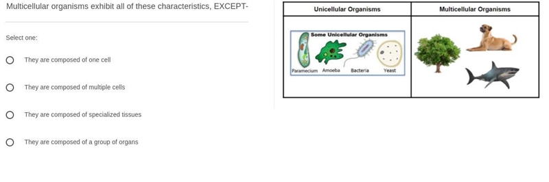 I Need Help on these science questions-example-3