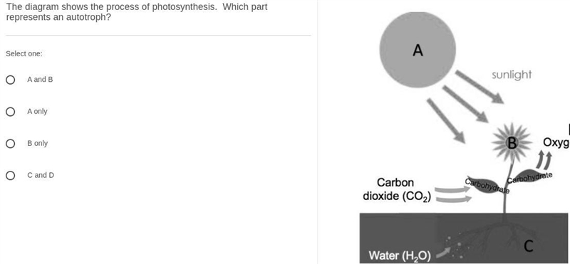 I Need Help on these science questions-example-4