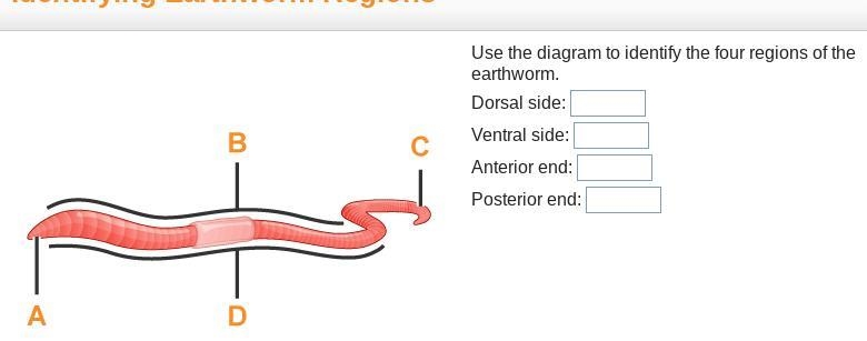 I'm deaf help 6th grader-example-1