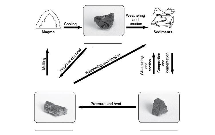 label the different parts of the rock cycle where igneous, sedimentary, and metamorphic-example-1