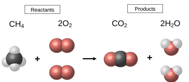 PLEASE HELP ME!!! Explain how this chemical equation demonstrates the Law of Conservation-example-1