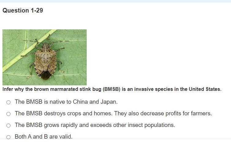 Infer why the brown marmarated stink bug (BMSB) is an invasive species in the United-example-1