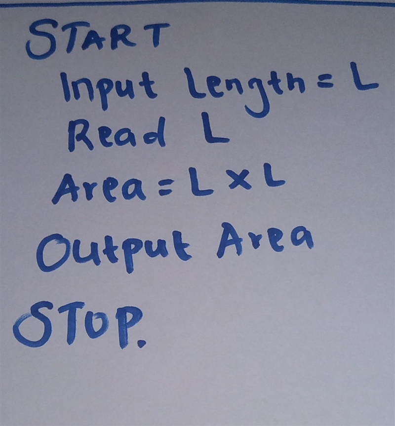 Wirte a program which asks the users to input length and calculates the area of a-example-1