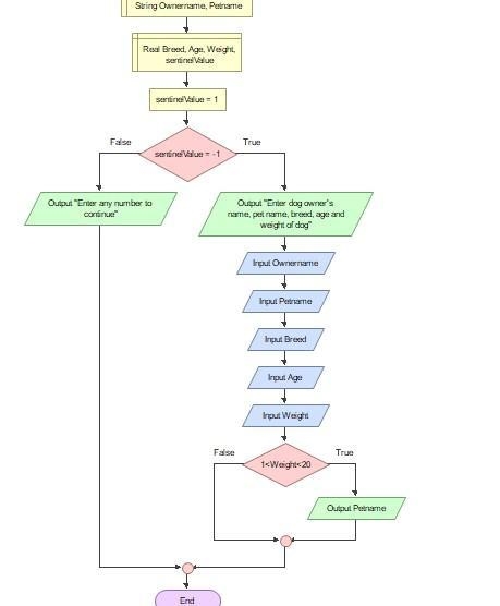 I am trying to make a flowgorithm chart for a dogs name, age, weight and when their-example-1