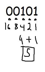 Convert the folllowing binary number to decimal:00101-example-1