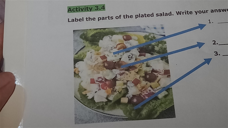 Label the parts of the plated salad.-example-1