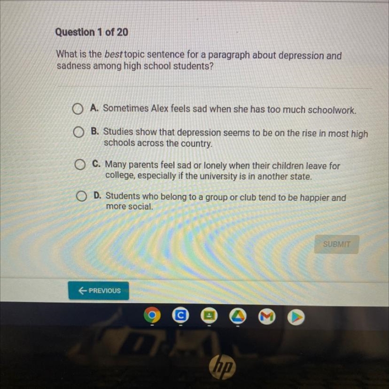 What is the best topic sentence for a paragraph about depression and sadness among-example-1