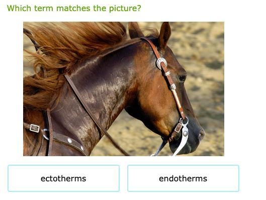 Which term matches the picture?-example-1