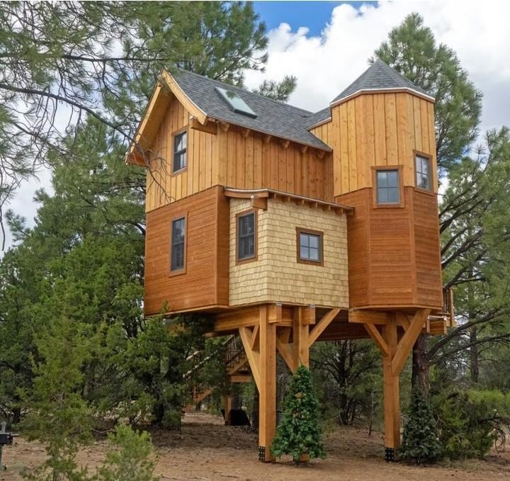 Image of a Treehouse​-example-1