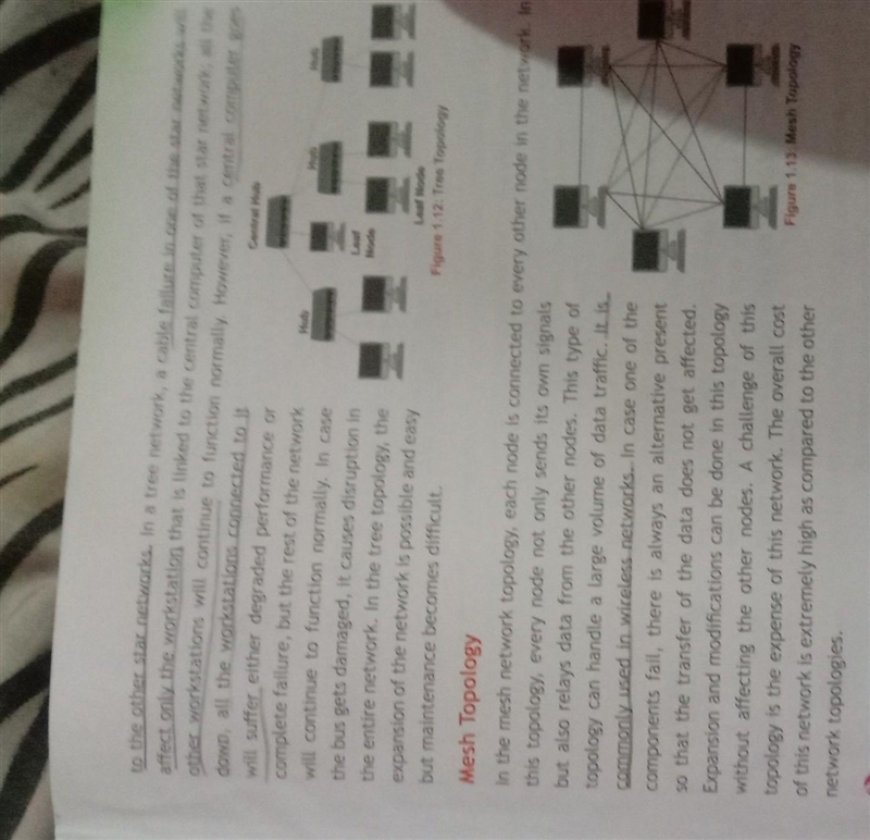 Types of network topology-example-3