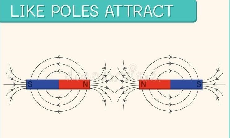 ____ - the ends of a magnet poles magnet ends newtons metal tips-example-1