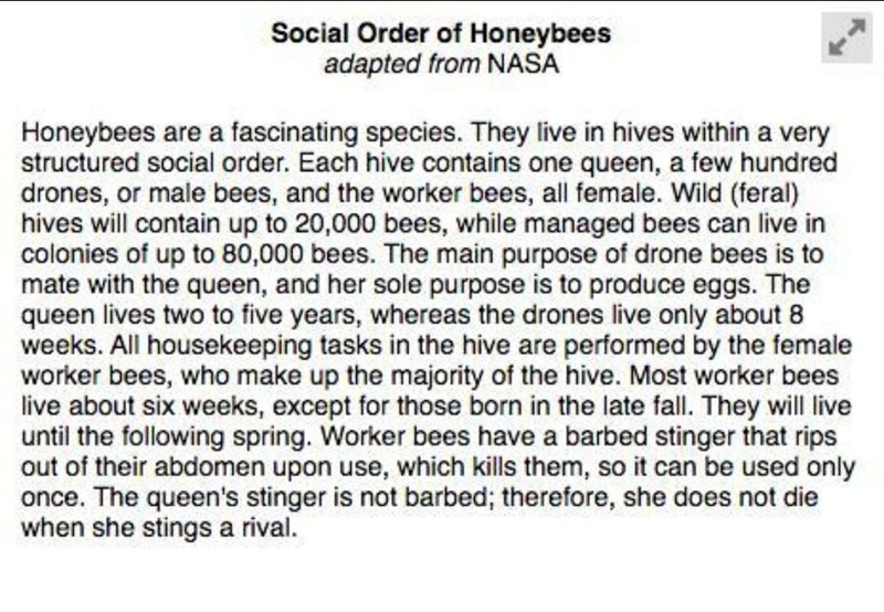 Why does the author describe the role of each honeybee?-example-2