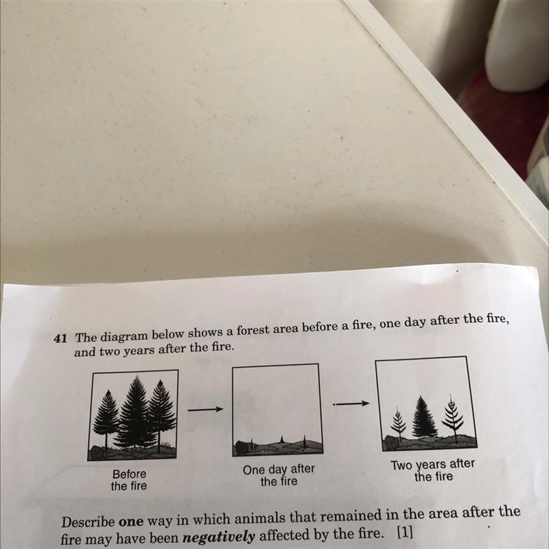 I need help with this now-example-1