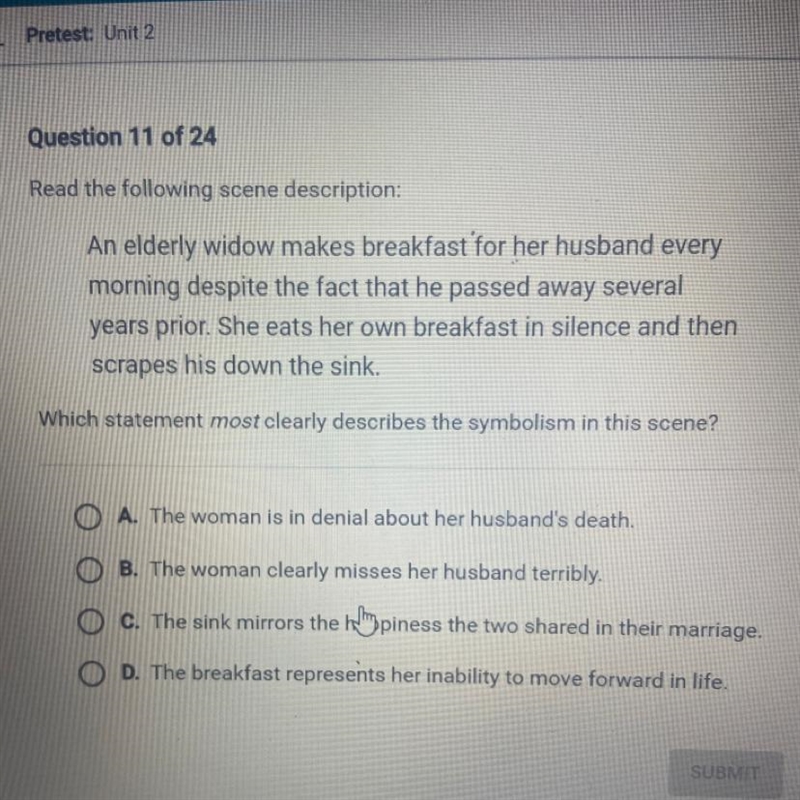 L Pretest: Unit 2 Question 11 of 24 Read the following scene description: An elderly-example-1