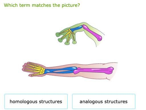 Which term matches the picture?-example-1