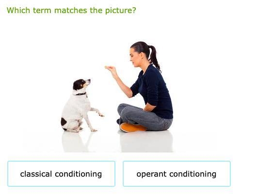 Which term matches the picture?-example-1