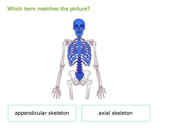 Which term matches the picture?-example-1