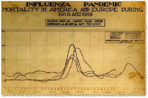 PLEASE HELP!!! Refer to the following graph and identify where the most deaths occurred-example-1