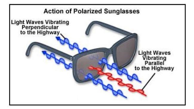 What is polarization?-example-1