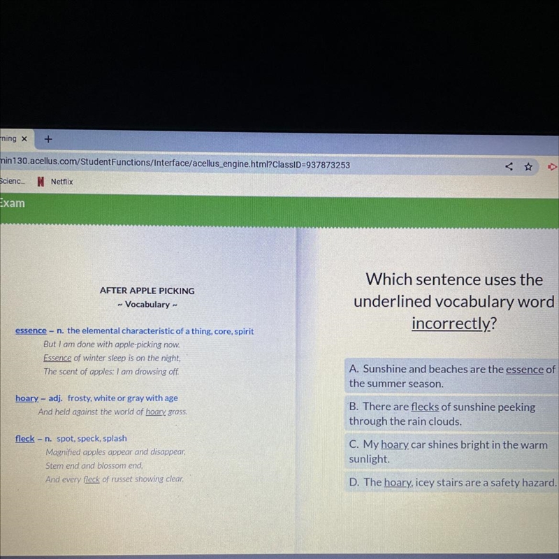 Which sentence uses the underlined vocabulary word incorrectly? A. Sunshine and beaches-example-1