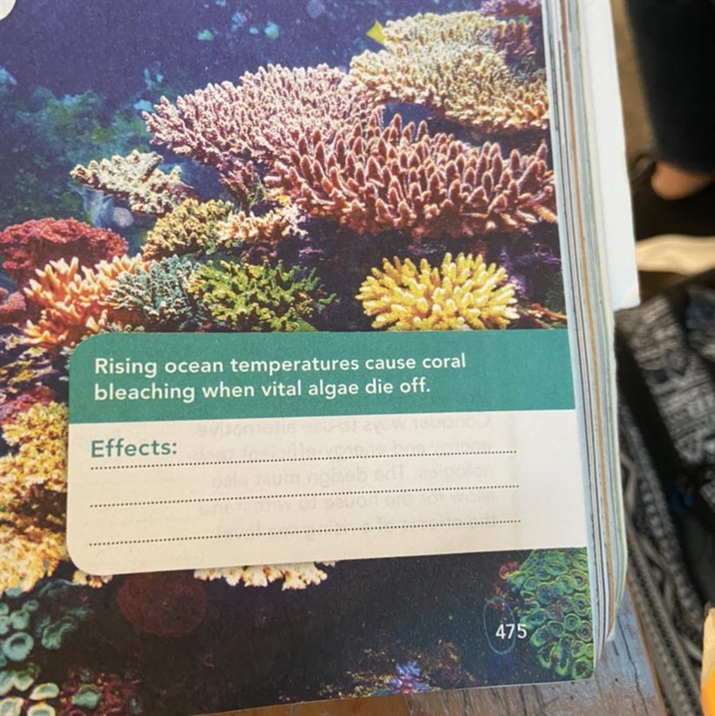 Rising ocean temperatures cause coral bleaching when vital algae die off. Please helpp-example-1