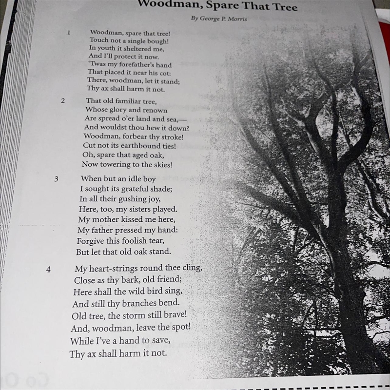 Which lines does the poet include to show the long history of the tree? A. 'Twas my-example-1