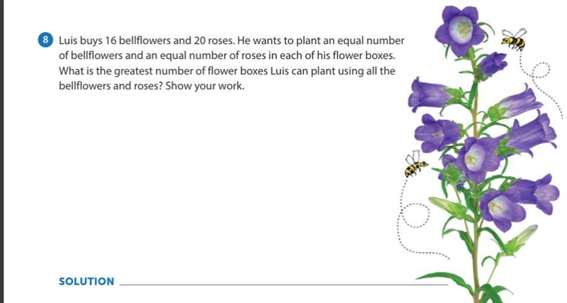 Luis buys 16 bell flowers and 20 roses. He wants to plant an equal number of bellflowers-example-1