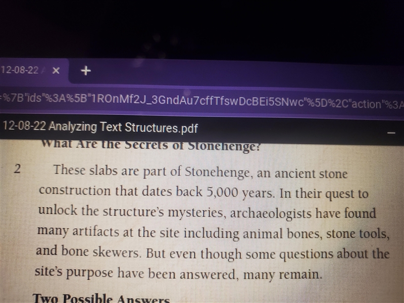 Explain how the first two paragraphs fit into the accounts overall structure. Cite-example-2