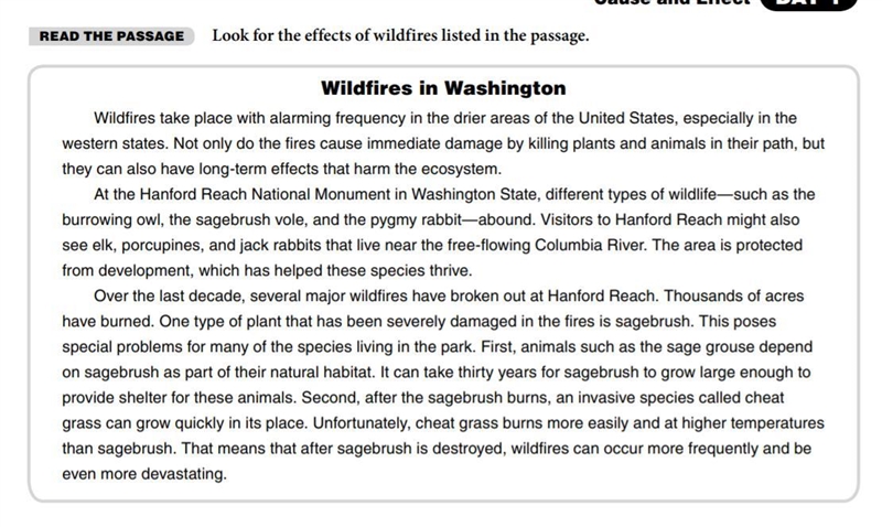 Which paragraph in text two BEST explains the problems caused by the wildfires?-example-1