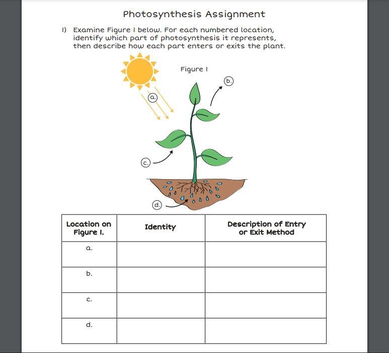 examine figure 1 below. For each numbered location, identify which part of photosynthesis-example-1