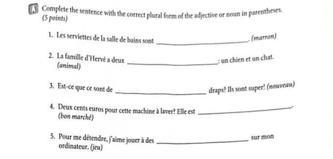 Complete the sentence with the plural form of the adjective or noun in perentheses-example-1