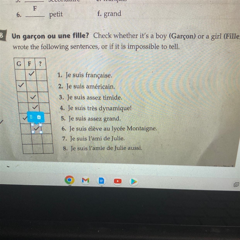 Struggling on 7 and 8. On 7, Lami is masculine but Julie is feminine On 8, they are-example-1