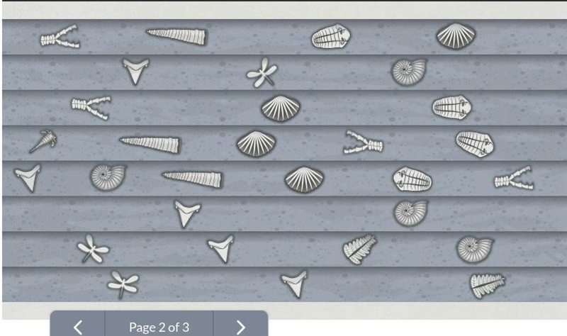 Fossil Record Layers Place the rock layers in order from oldest to youngest with the-example-1