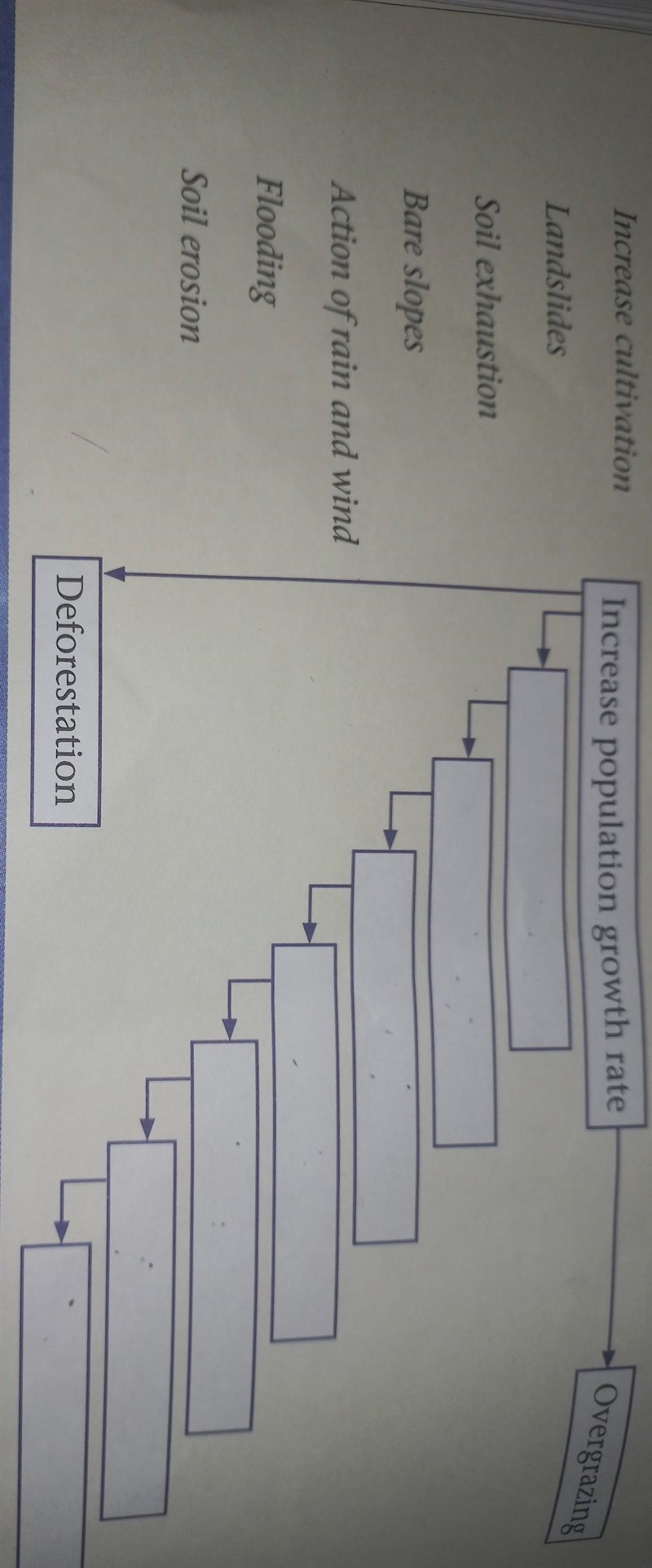 Insert the labels on their correct position​-example-1