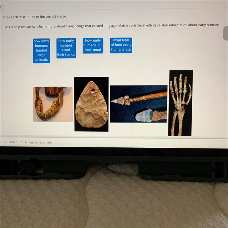 Drag each description to the correct image Fossils held researchers learn more about-example-1