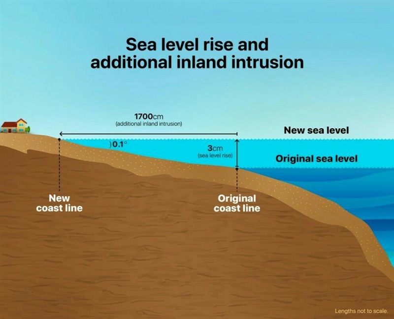 What is mean by Sea Level? ​-example-1