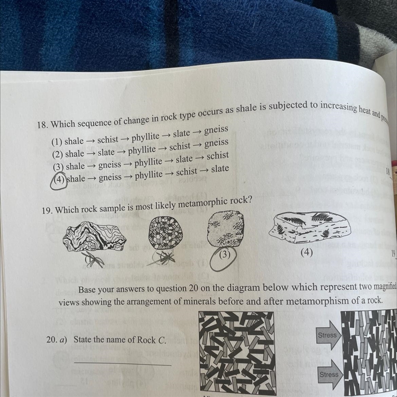 Which rock sample is most likely metamorphic rock?-example-1