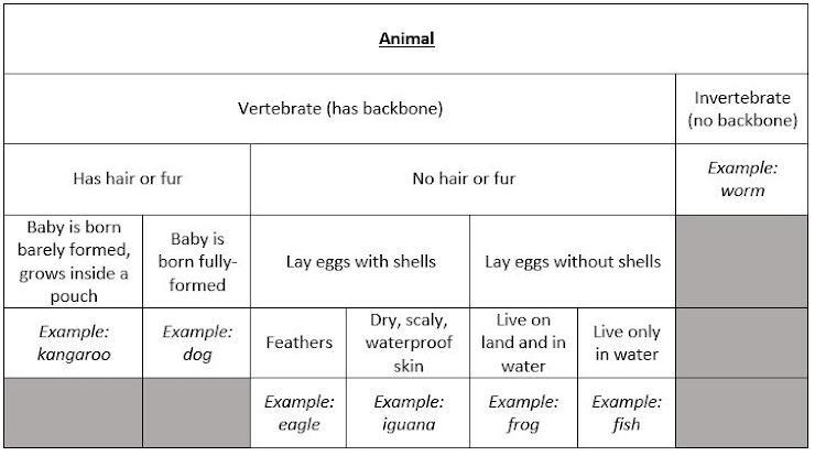 3. Study the table below. Which animal pair would probably be the closest related-example-1